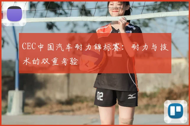 CEC中国汽车耐力锦标赛:耐力与技术的双重考验