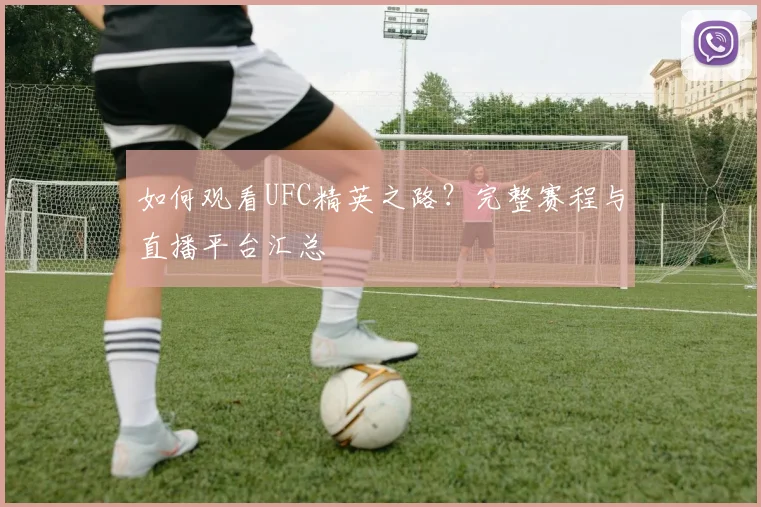 如何观看UFC精英之路？完整赛程与直播平台汇总