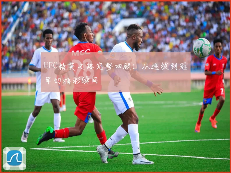 UFC精英之路完整回顾：从选拔到冠军的精彩瞬间