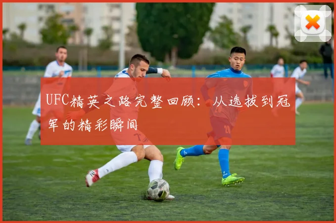 UFC精英之路完整回顾:从选拔到冠军的精彩瞬间