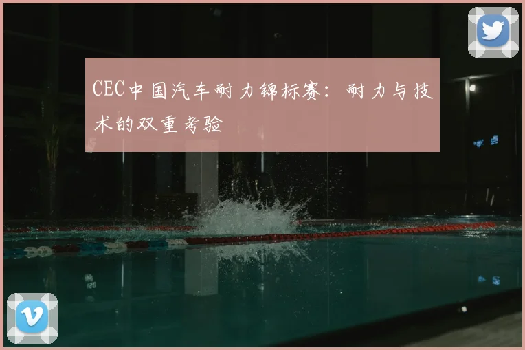 CEC中国汽车耐力锦标赛：耐力与技术的双重考验