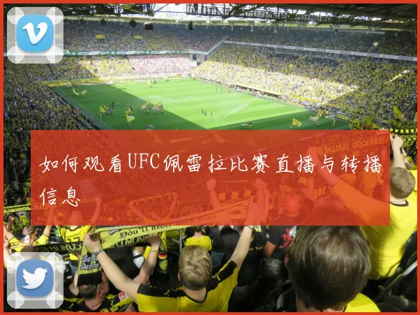 如何观看UFC佩雷拉比赛直播与转播信息